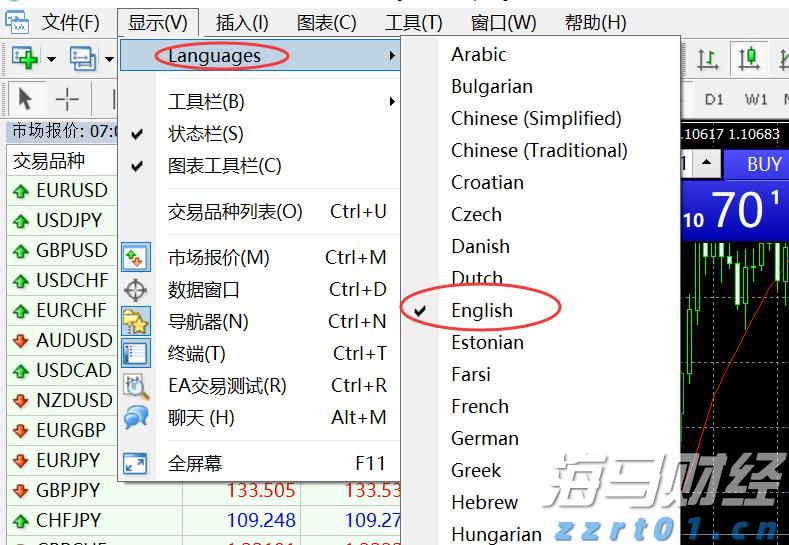 独立候选人纳夫罗茨基赢得波兰总统选举